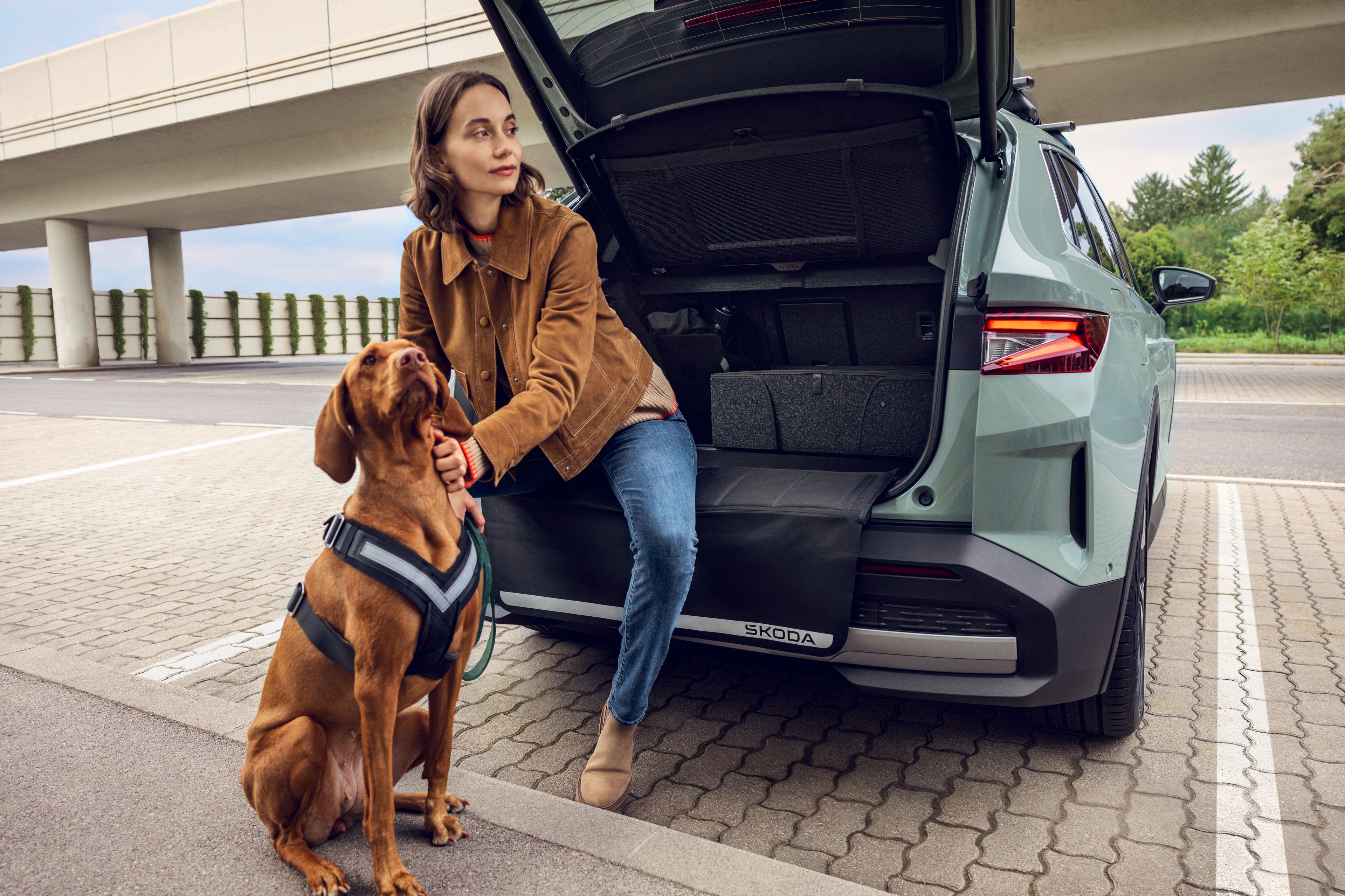 Oseba v rjavi jakni sedi na robu prtljažnika električnega vozila. Pred njo sedi rjava madžarska vižla z oprsnico. 