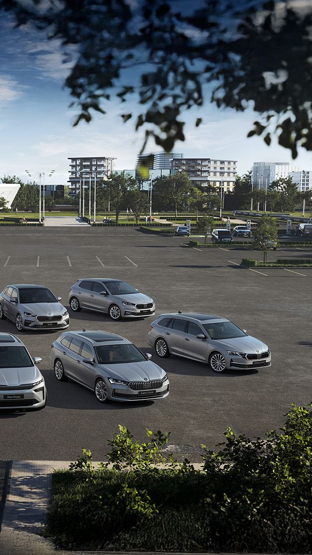 Na velikem parkirišču stoji 10 avtomobilov znamke Škoda, razporejenih v dve vrsti. V ozadju sta vidni moderna stavba in več stanovanjskih objektov. Nebo je jasno in modro, nekaj dreves pa obdaja parkirišče.